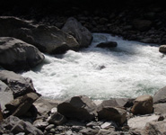 Shangrila Energy Limited